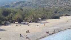 Vai palm beach Crete Greece